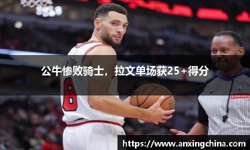 智博