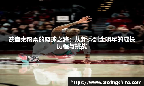 德章泰穆雷的篮球之路：从新秀到全明星的成长历程与挑战